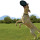 Hundespielzeug KONG® Extreme Flyer 25 cm