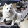 DOGMONDO Auto-Sicherheitsgurt für Hunde 48 - 75cm
