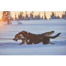 NonStop Nansen Nome Harness 5,0