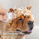 Aniforte Fellharmonie Shampoo Sensitiv 200ml