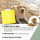 REAVET 4in1 Complete Dog 250g